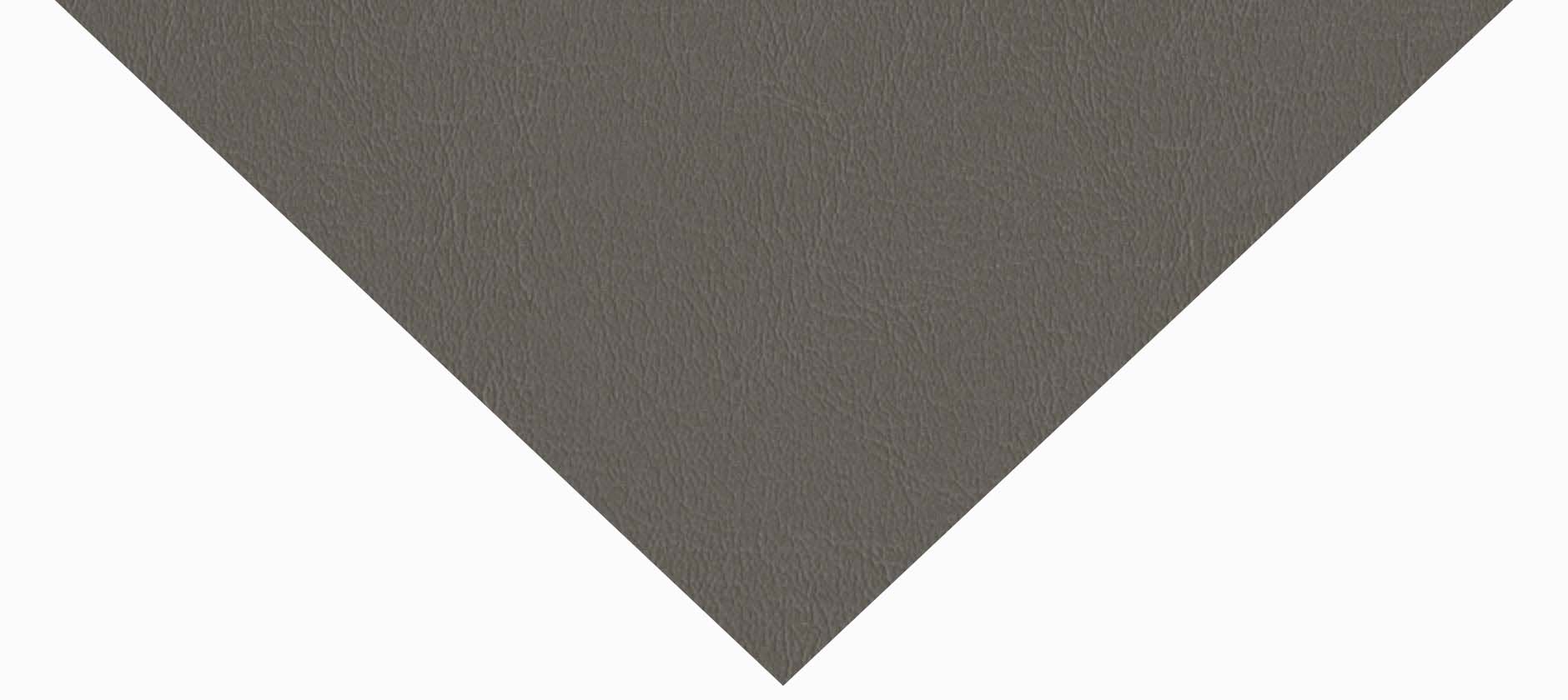 Leather Titanium